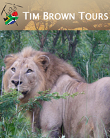 timbrowntours